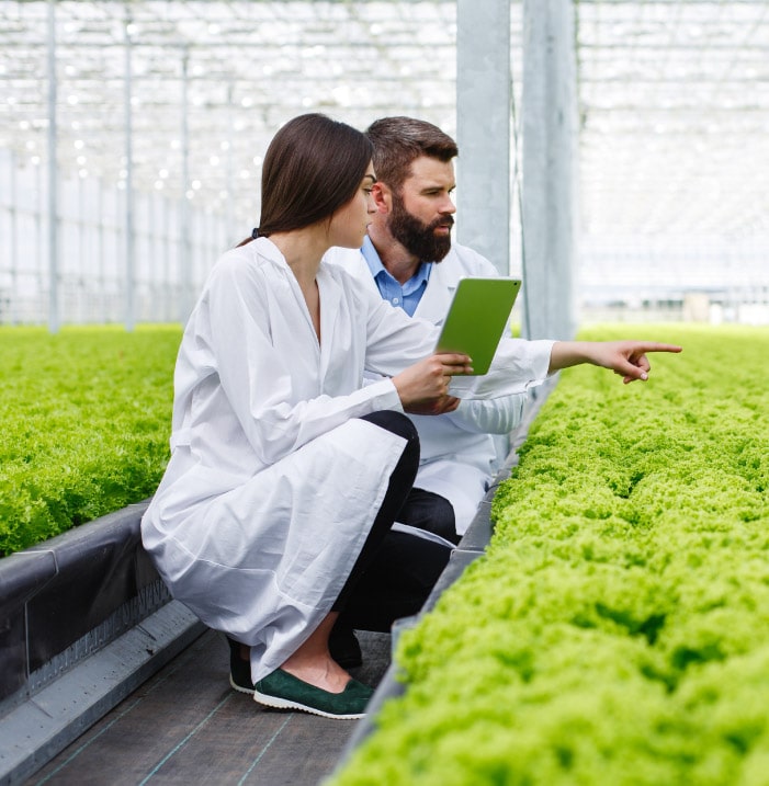 Software Control de siembras